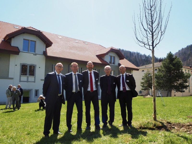 Repräsentanten mit Linde